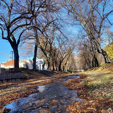 Diamondlux Daire Vrnjačka Banja