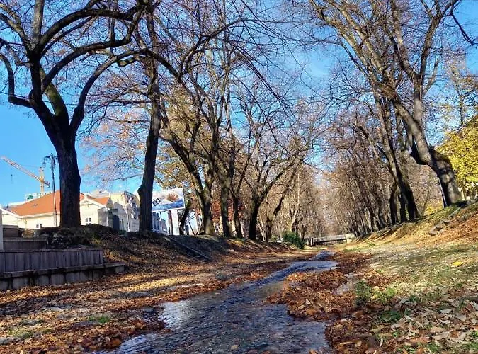 Diamondlux Διαμέρισμα Vrnjačka Banja